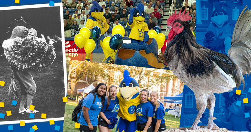 Blue Hen mascots