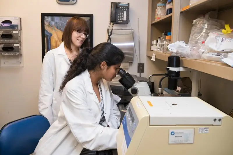 During the summer of 2018, student Yasmin Mann (right) worked as a UD-Fox Chase Summer Fellow with researcher Anna Kiseleva at the Philadelphia cancer center. Mann went on to graduate from UD and has been accepted into the prestigious National Institutes of Health Oxford Scholars doctoral program in biomedical research. During the summer of 2018, student Yasmin Mann (right) worked as a UD-Fox Chase Summer Fellow with researcher Anna Kiseleva at the Philadelphia cancer center. Mann went on to graduate from UD and has been accepted into the prestigious National Institutes of Health Oxford Scholars doctoral program in biomedical research.