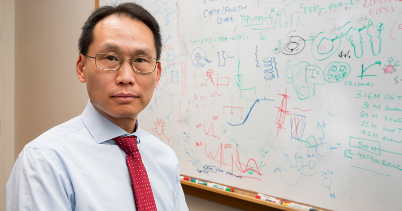 University of Delaware’s Gore Professor of Chemical and Biomolecular Engineering Wilfred Chen recently published his findings on how to control metabolism in microorganisms in Nature Chemical Biology. University of Delaware’s Gore Professor of Chemical and Biomolecular Engineering Wilfred Chen recently published his findings on how to control metabolism in microorganisms in Nature Chemical Biology.