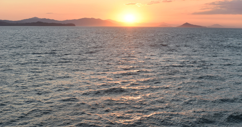 A new paper from University of Delaware researchers published in the Journal of Geophysical Research: Oceans examined the vertical motions associated with western boundary currents. The data revealed robust and intense upwelling in western boundary currents and found that this upwelling contributes significantly to the vertical transport of ocean properties and materials such as heat and carbon. A new paper from University of Delaware researchers published in the Journal of Geophysical Research: Oceans examined the vertical motions associated with western boundary currents. The data revealed robust and intense upwelling in western boundary currents and found that this upwelling contributes significantly to the vertical transport of ocean properties and materials such as heat and carbon.
