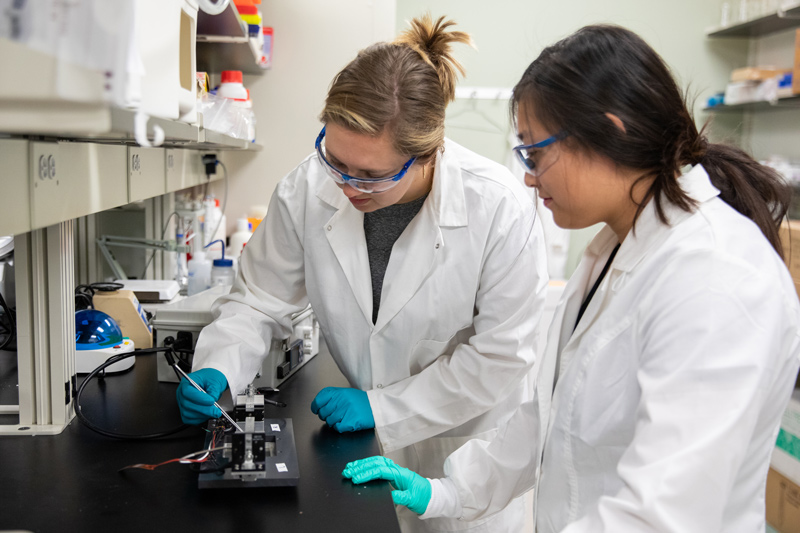 Ellen Bloom (left) and Lily Lin, UD doctoral candidates in biomedical engineering, work in their lab in Science, Technology and Advanced Research (STAR) Campus. Alongside professors Dawn Elliott, Karin Grävare Silbernagel and Justin Parreno, they’re studying tendon damage. 