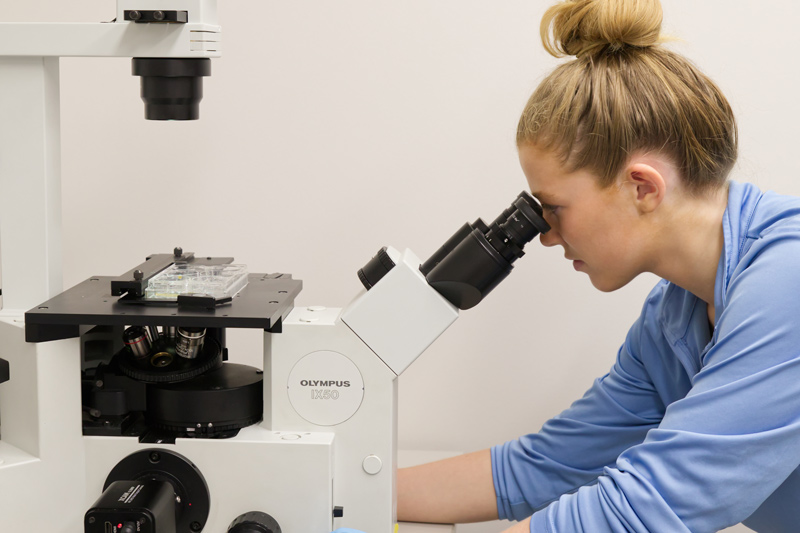Pre-veterinary medicine major Rory Raymer analyzes equine samples in Prof. Amy Biddle’s lab. Pre-veterinary medicine major Rory Raymer analyzes equine samples in Prof. Amy Biddle’s lab.