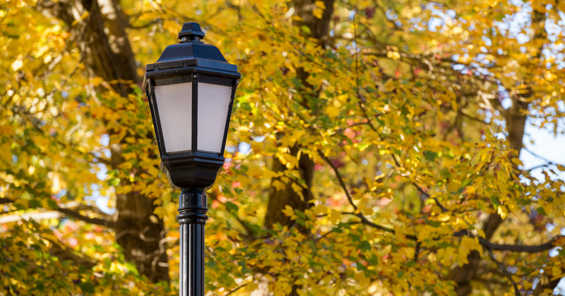 OCM - Campus Fall Images - 11.03.22 University of Delaware fall campus beauty