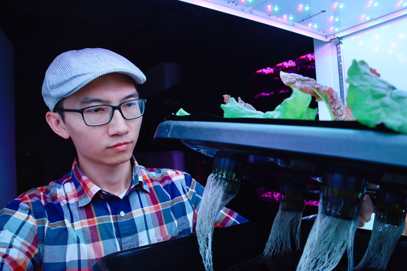 Qingwu Meng leads the Delaware Indoor Ag Lab in the UD College of Agriculture and Natural Resources. Qingwu Meng leads the Delaware Indoor Ag Lab in the UD College of Agriculture and Natural Resources.