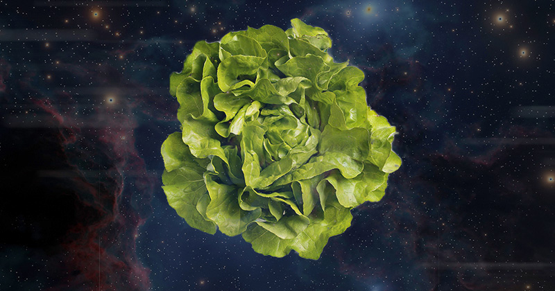 UD’s Qingwu Meng received an Early Career Investigation grant from the National Aeronautics and Space Administration (NASA) to investigate light optimization for growing food in space. UD’s Qingwu Meng received an Early Career Investigation grant from the National Aeronautics and Space Administration (NASA) to investigate light optimization for growing food in space.