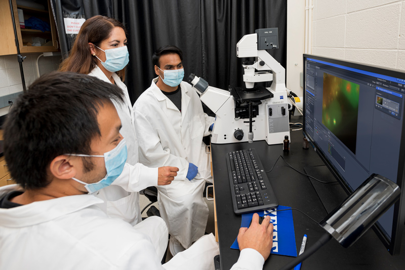 Biologist Aimee Jaramillo-Lambert (center) will probe chromosome structure and separation in sperm and eggs to improve scientists’ understanding of how disruptions in these processes contribute to infertility and birth defects, with the aim to uncover potential treatments.