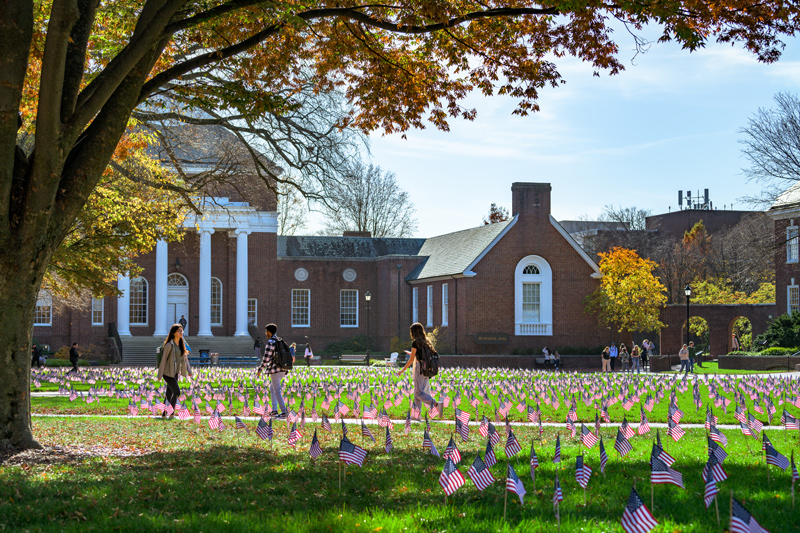 In advance of Veterans Day, which is Friday, Nov. 11, student veterans planted 7,076 American flags on The Green, one for every military service member killed since Sept. 11, 2001.