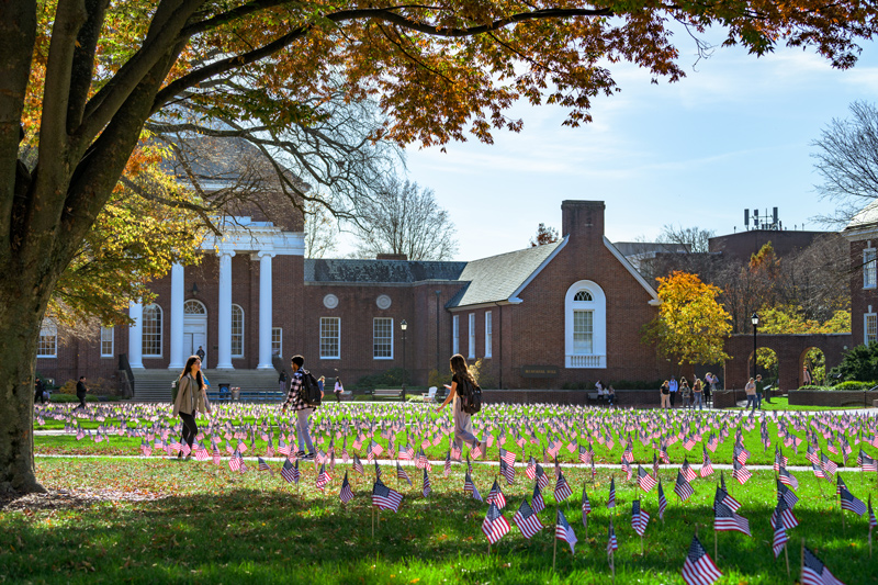 In advance of Veterans Day, which is Friday, Nov. 11, student veterans planted 7,076 American flags on The Green, one for every military service member killed since Sept. 11, 2001. In advance of Veterans Day, which is Friday, Nov. 11, student veterans planted 7,076 American flags on The Green, one for every military service member killed since Sept. 11, 2001.