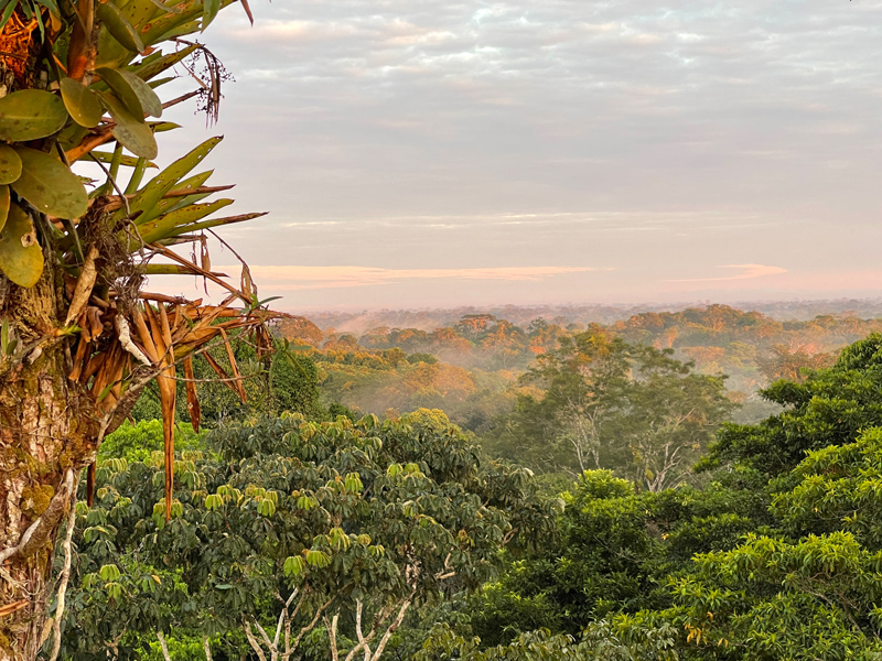 A group of Delaware K-12 teachers visited the Peruvian Amazon as part of the Delaware Teachers Institute seminar called, “Bringing the Amazon Rainforest Home.”