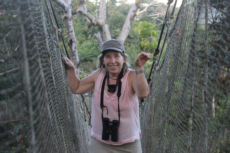 Merry Ostheimer, a second grade teacher at West Park Place School in Newark, enjoys the views from a canopy walkway.