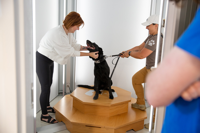 Innovation Director Martha Hall puts UD Police K9 Nellie and her handler master police officer Michelle Haney into the body scanner in the Health Innovation Lab so she can knit her a personalized Kevlar vest. 