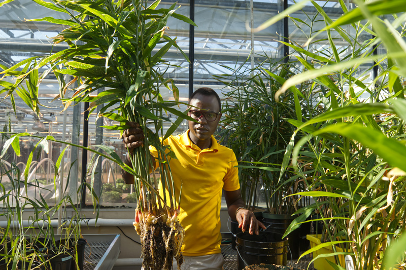 UD’s Borel Global Fellowship allows graduate student and Tanzanian citizen Shem Elias to study plant and soil sciences.