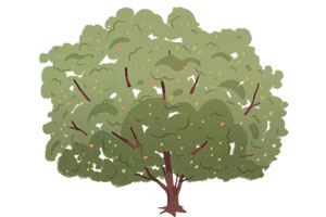 Illustration of a tree