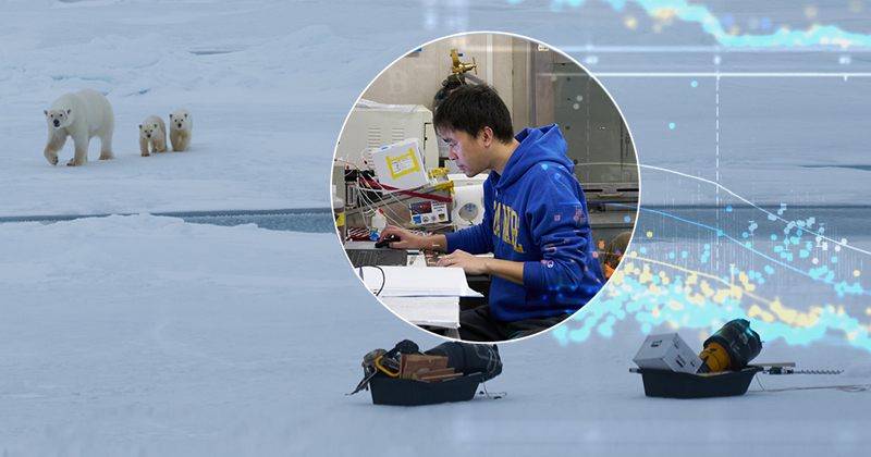 A polar bear and two cubs visited the ice station where researchers — including Zhangxian Ouyang of the University of Delaware — were working during a recent visit to the Arctic ocean.