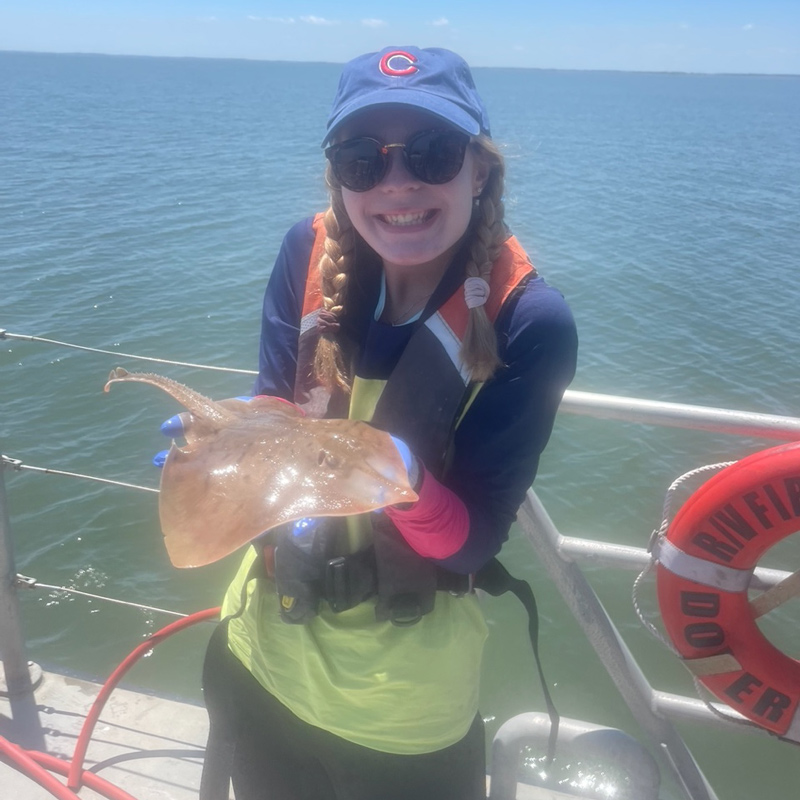 UD undergraduate student Caroline Bowers spent the summer of 2022 as a UD Summer Scholar researching the clearnose skate to get a better understanding of their diets. Bowers’ research focused on what the skates eat while in the Delaware Bay and during their time in the Gulf of Mexico. To do this, Bowers went with members of the Delaware Division of Fish and Wildlife when they conducted their monthly bottom trawls. These photos were taken during her time with the Delaware Division of Fish and Wildlife as well as on the R/V Joanne Daiber where skates were collected using permit #(2022-FSC-024).