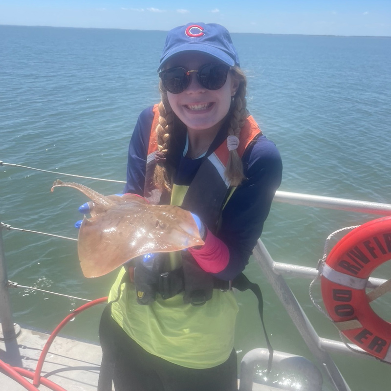 UD undergraduate student Caroline Bowers spent the summer of 2022 as a UD Summer Scholar researching the clearnose skate to get a better understanding of their diets. Bowers’ research focused on what the skates eat while in the Delaware Bay and during their time in the Gulf of Mexico. To do this, Bowers went with members of the Delaware Division of Fish and Wildlife when they conducted their monthly bottom trawls. These photos were taken during her time with the Delaware Division of Fish and Wildlife as well as on the R/V Joanne Daiber where skates were collected using permit #(2022-FSC-024). UD undergraduate student Caroline Bowers spent the summer of 2022 as a UD Summer Scholar researching the clearnose skate to get a better understanding of their diets. Bowers’ research focused on what the skates eat while in the Delaware Bay and during their time in the Gulf of Mexico. To do this, Bowers went with members of the Delaware Division of Fish and Wildlife when they conducted their monthly bottom trawls. These photos were taken during her time with the Delaware Division of Fish and Wildlife as well as on the R/V Joanne Daiber where skates were collected using permit #(2022-FSC-024).