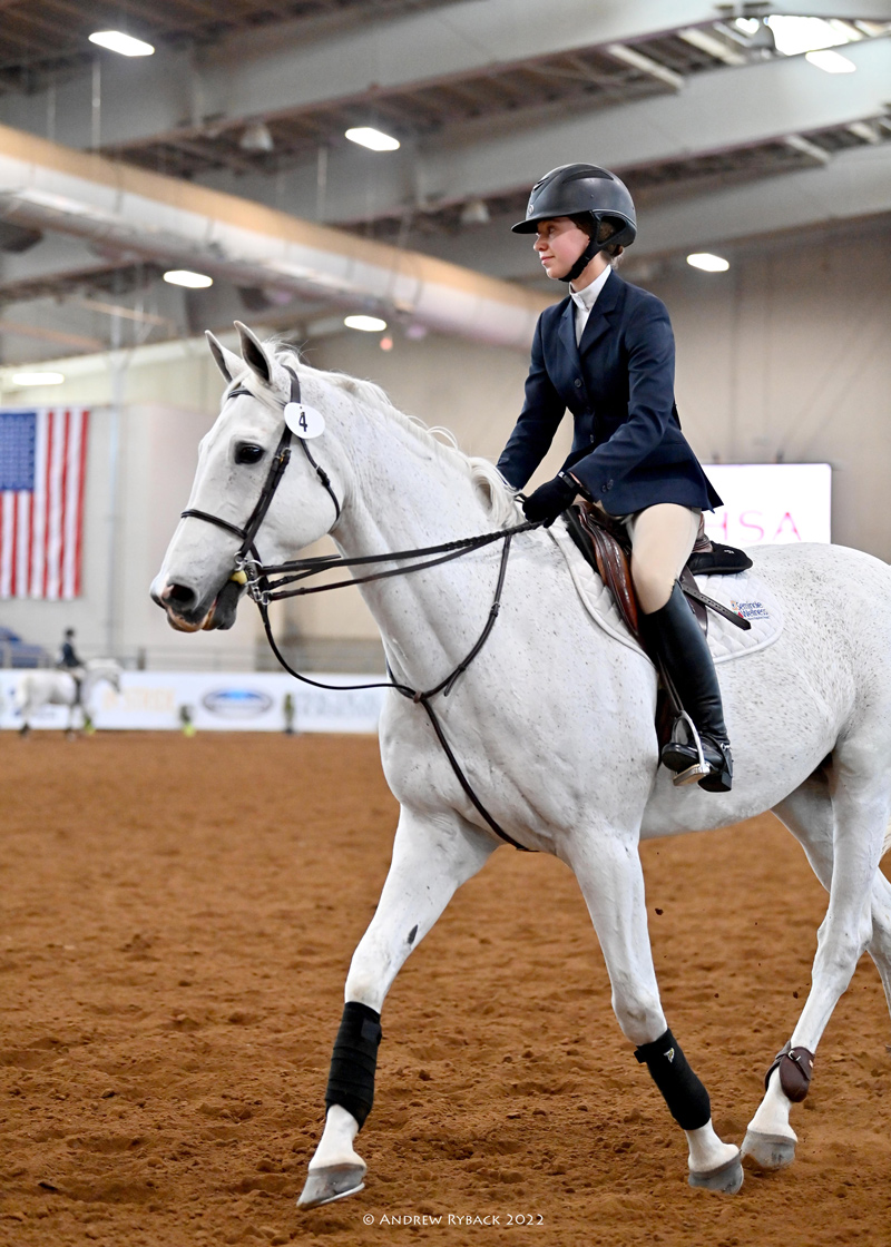 Louisville Equestrian Team Hunt Seat - Equestrian Team Apparel