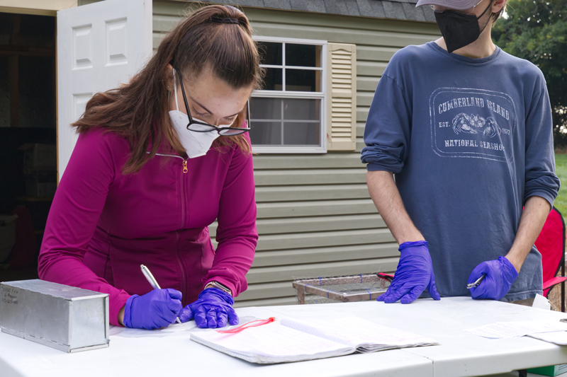 Wildlife ecology graduate student Scarlet Shifflett (left) and undergraduate student Adam Rose keep records of their research. Wildlife ecology graduate student Scarlet Shifflett (left) and undergraduate student Adam Rose keep records of their research.