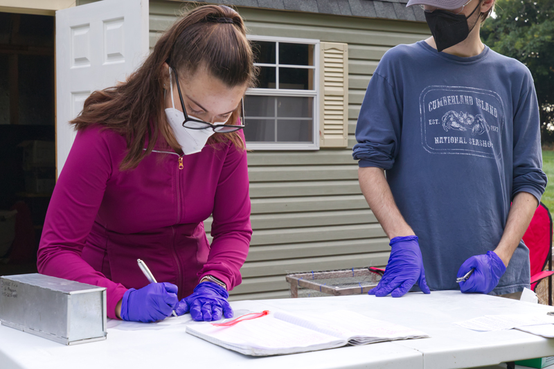 Wildlife ecology graduate student Scarlet Shifflett (left) and undergraduate student Adam Rose keep records of their research.