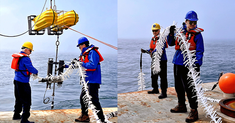 Assistant Professor Lin Wan (blue hard hat) and Professor Mohsen Badiey (yellow hard hat) with the Department of Electrical and Computer Engineering deploy acoustic vertical line arrays off the coast of New England as part of a project utilizing underwater acoustics, big data and machine learning to better understand what lies deep beneath the surface.