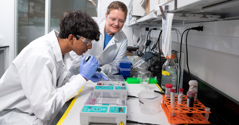 Delaware high school students like Dheeraj Danthuluri (left) receive real-world research experience in the lab of UD faculty member Erin Sparks thanks to UD alumnus and donor Ron Ferriss.