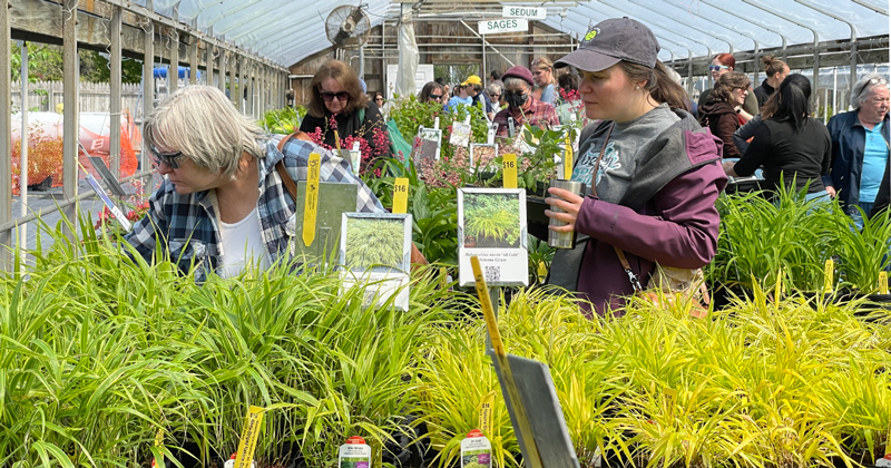 The UD Botanic Gardens will offer its spring plant sale to the general public. The UD Botanic Gardens will offer its spring plant sale to the general public.