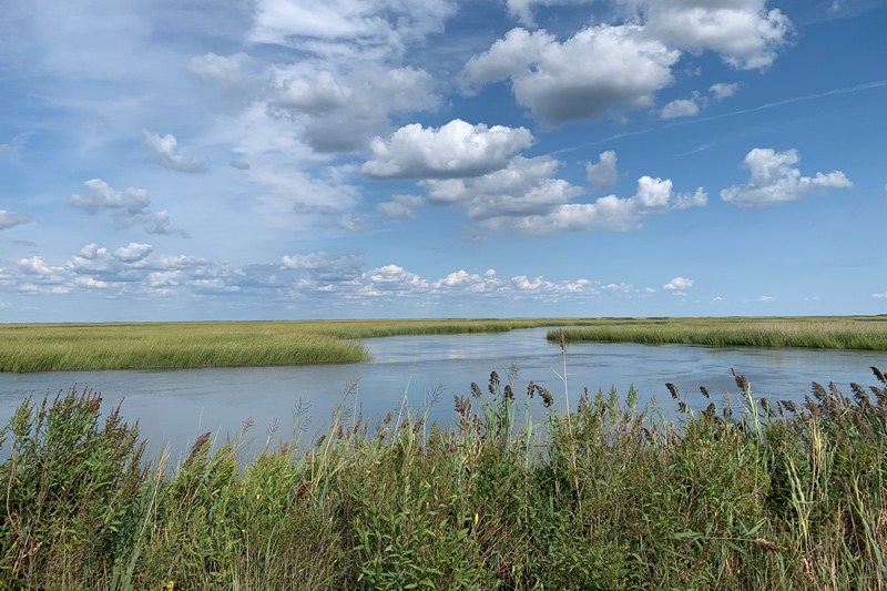 Bombay Hook National Wildlife Refuge is a protected area that safeguards one of the largest remaining expanses of tidal salt marsh in the mid-Atlantic region. As a DENIN Faculty Fellow, Kent Messer hopes to expand foundation-funded work with the potential to preserve and protect our environment for decades to come.