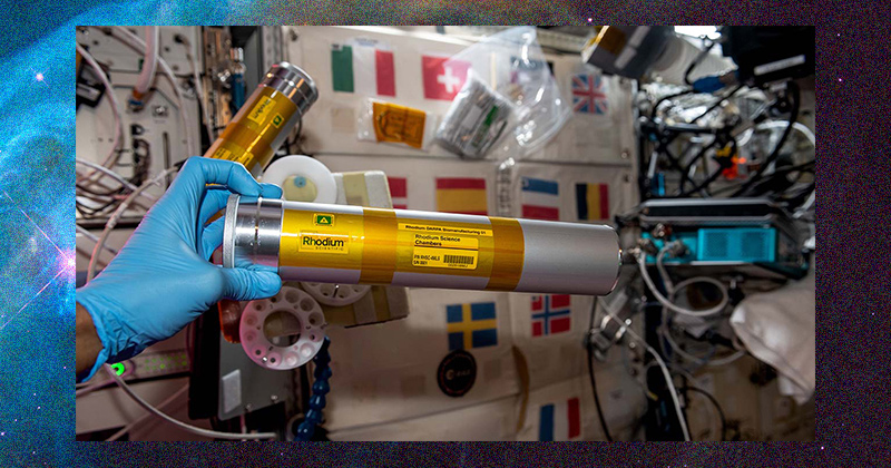 An astronaut on the International Space Station holds a science chamber from the Rhodium DARPA Biomanufacturing 01 investigation, which examines gravity’s effect on production of drugs and nutrients from bacteria and yeast. 