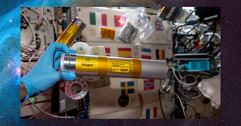 An astronaut on the International Space Station holds a science chamber from the Rhodium DARPA Biomanufacturing 01 investigation, which examines gravity’s effect on production of drugs and nutrients from bacteria and yeast. An astronaut on the International Space Station holds a science chamber from the Rhodium DARPA Biomanufacturing 01 investigation, which examines gravity’s effect on production of drugs and nutrients from bacteria and yeast.