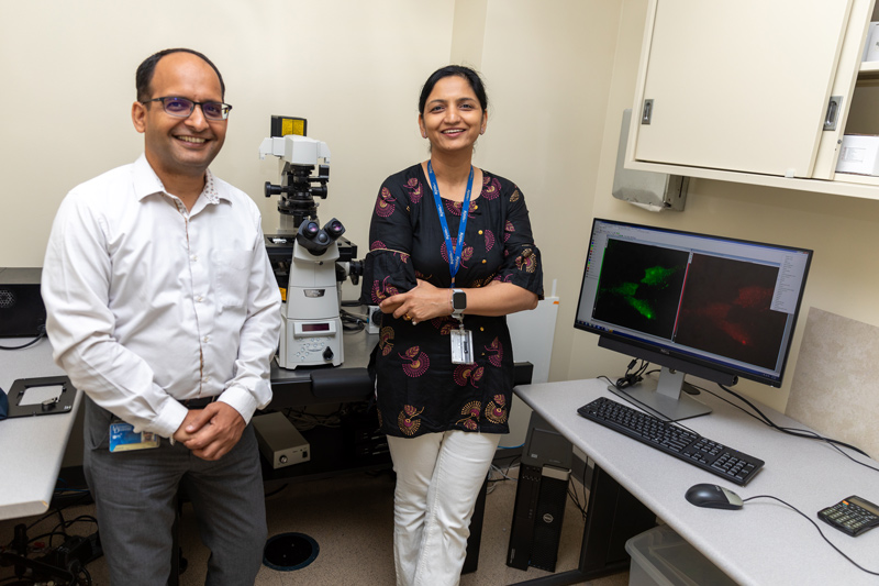 Mona Batish, associate professor of medical and molecular sciences (MMSC), and Vijay Parasha, assistant professor of MMSC, have been awarded a $1 million grant from the National Science Foundation to study RNA transport to better understand how cells communicate. Mona Batish, associate professor of medical and molecular sciences (MMSC), and Vijay Parasha, assistant professor of MMSC, have been awarded a $1 million grant from the National Science Foundation to study RNA transport to better understand how cells communicate.