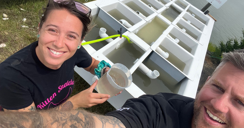 Delaware Sea Grant’s pilot oyster hatchery recently sent 200 bags of shell with roughly 105,000 oyster spat — or baby oysters—to a commercial aquaculture operation in the Delaware Bay using larvae that the pilot hatchery produced. Alyssa Campbell (left) and Ed Hale help oversee the oyster hatchery. 