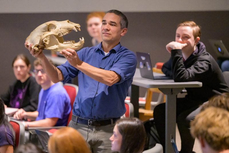 Kyle McCarthy, associate professor of wildlife ecology at the University of Delaware, will often bring in animal skulls such as this bear skull to his wildlife conservation and ecology (ENWC 201) course. 