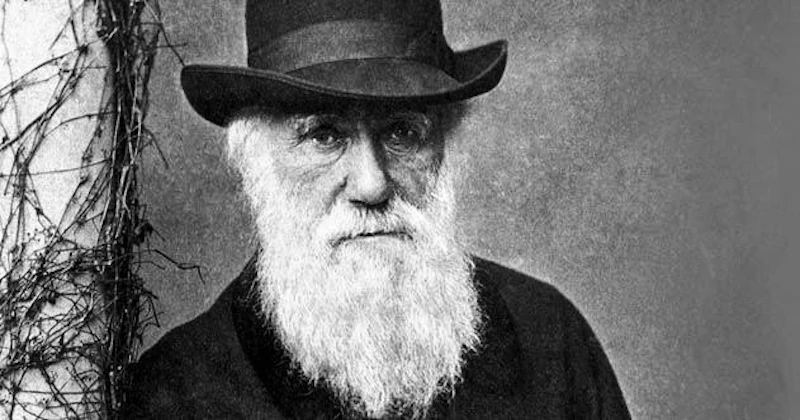 Charles Darwin (1809 to 1882) was an English naturalist whose scientific theory of evolution by natural selection became the foundation of modern evolutionary studies. As Brittanica.com reports, Darwin formulated his bold theory in private in 1837–39, after returning from a voyage around the world aboard HMS Beagle. It was not until two decades later that he finally gave it full public expression in “On the Origin of Species (1859),” a book that has deeply influenced modern Western society and thought. Charles Darwin (1809 to 1882) was an English naturalist whose scientific theory of evolution by natural selection became the foundation of modern evolutionary studies. As Brittanica.com reports, Darwin formulated his bold theory in private in 1837–39, after returning from a voyage around the world aboard HMS Beagle. It was not until two decades later that he finally gave it full public expression in “On the Origin of Species (1859),” a book that has deeply influenced modern Western society and thought.