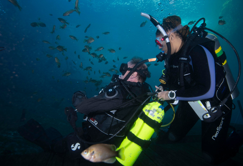  One of the external partnerships that Birns has started to build has been with the Black Girls Dive Foundation, a non-profit organization that establishes space and opportunity to empower young women to explore STEM through marine science and conservation and scuba diving. Participants from that program joined the UD students during the 2023 Winter Session to dive with and learn from the UD students who were getting scuba certified.