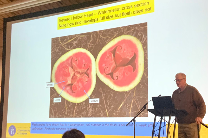 Gordon Johnson, UD extension specialist for fruits and vegetables reviews research on watermelons, including his signature research on the causes of hollow hearts in watermelons. Johnson announced his retirement to the audience effective in June 2023.