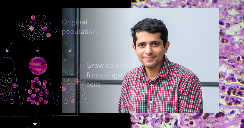 Abhyudai Singh, professor of electrical and computer engineering at the University of Delaware, is using $2 million in funding from the National Institutes of Health to develop computational tools for understanding the mechanisms behind specific cell states within cell populations. 