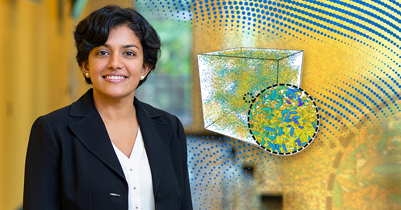 Arthi Jayaraman, Centennial Term Professor for Excellence in Research and Education in the Department of Chemical and Biomolecular Engineering, and her lab are developing computational methods to help experimentalists design new, innovative materials for a variety of fields and applications.  