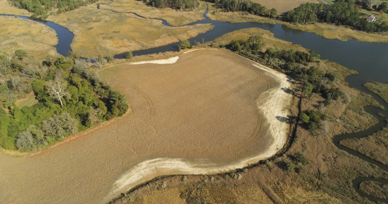 Pictured here is a farm with noticeably large salt patches. Once these salt patches become visible, that land and the land close to those salt patches, for all intents and purposes, is already unfit for growing certain crops. To help farms through the Delmarva region, the University of Delaware’s Pinki Mondal is part of a research team investigating the extent of these salt patches as well as their root causes. 