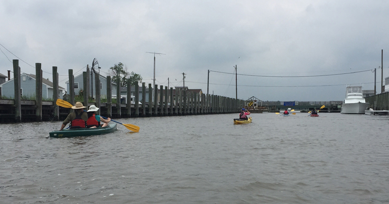 Communities like Milford and Slaughter Beach are home to extremely valuable and biodiverse natural resources that might sometimes get overlooked. Pictured here is a kayak tour of Cedar Creek. Kayak tour of Cedar Creek