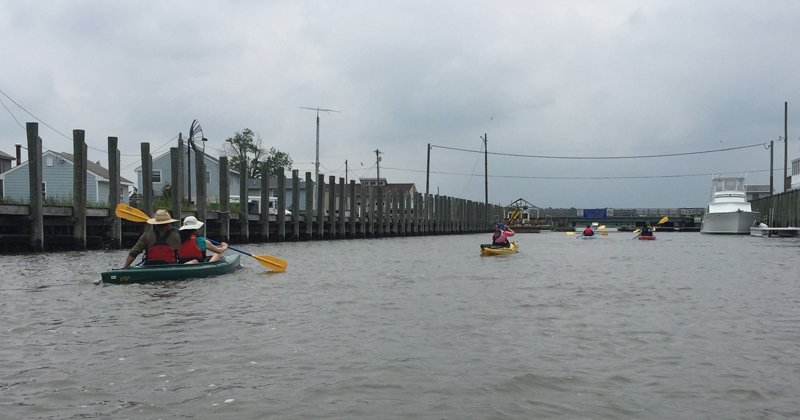 Kayak tour of Cedar Creek