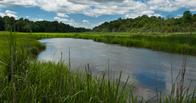 Milford and Slaughter Beach are home to extremely valuable and biodiverse natural resources. 