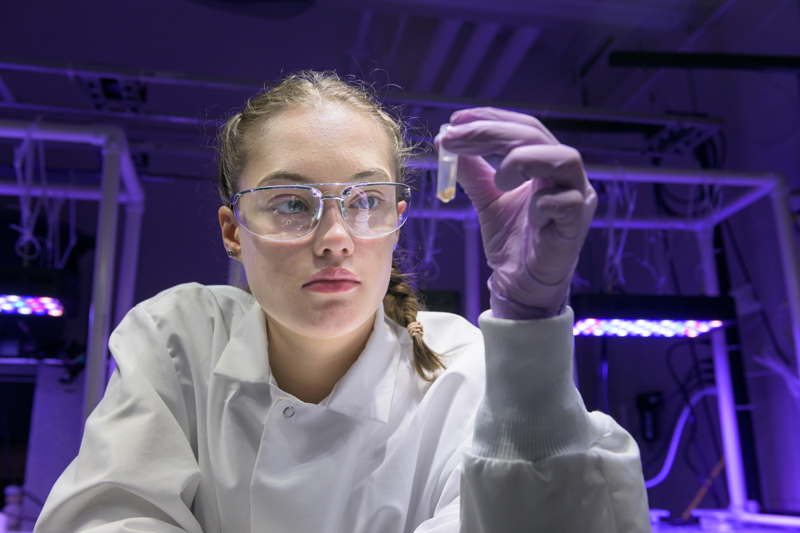 University of Delaware undergraduate student Willa Lane, an Honors College student majoring in marine biology in the School of Marine Science and Policy with a minor in psychology, has been named a 2023 Gates Cambridge Scholar.