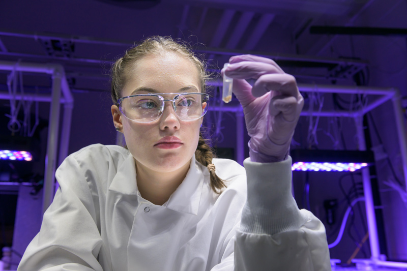 University of Delaware undergraduate student Willa Lane, an Honors College student majoring in marine biology in the School of Marine Science and Policy with a minor in psychology, has been named a 2023 Gates Cambridge Scholar. University of Delaware undergraduate student Willa Lane, an Honors College student majoring in marine biology in the School of Marine Science and Policy with a minor in psychology, has been named a 2023 Gates Cambridge Scholar.