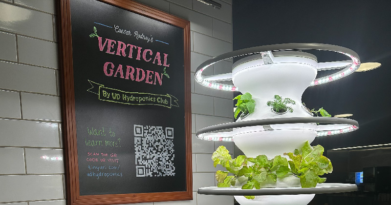 Hydroponic Tower growing fresh lettuce & herbs 
