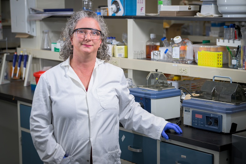 Professor Jennifer Biddle was nominated and supported by colleagues, including her undergraduate mentor. Professor Jennifer Biddle was nominated and supported by colleagues, including her undergraduate mentor.