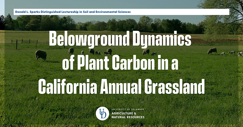 Facebook Event Header - Sparks Lectureship 2023 (1920x1080) - 1 Sheep grazing in field behind overlaid text Belowground dynamics of recently fixed plant carbon in a California annual grassland
