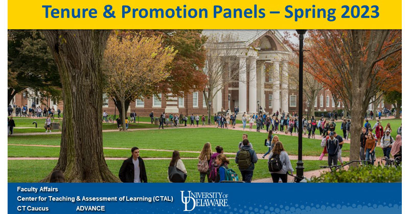 Tenure and Promotion Panels graphic
