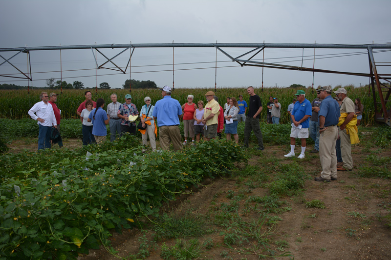Gordon Johnson joins a group of growers examining lima beans. Field tours and presenting research serve as a key outreach effort for local growers.