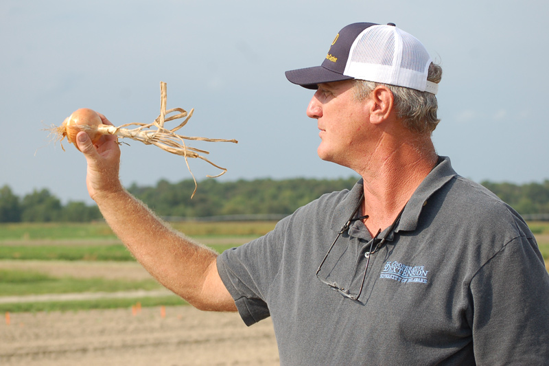 Gordon Johnson examines an onion, one of many specialty crops he studied and presented as a possibility for Delaware growers.