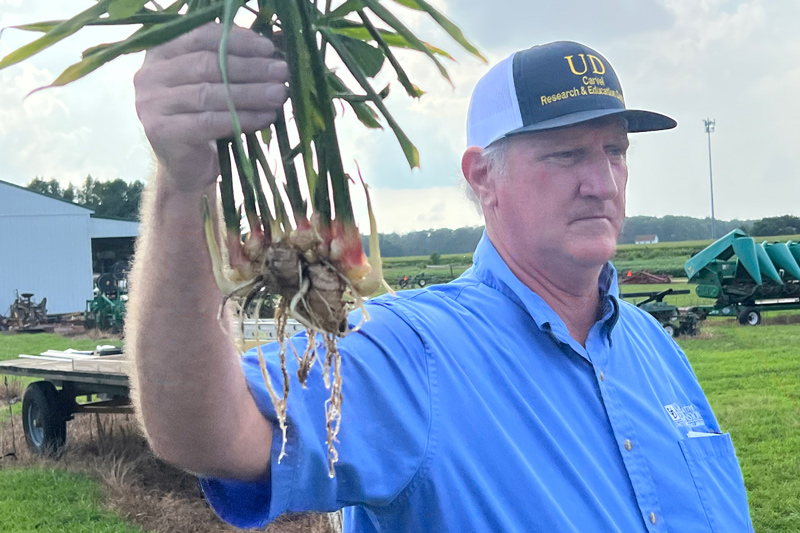 Gordon Johnson spent most of his life involved in farming — learning, working, teaching and advising — and he was honored with the University of Delaware’s Worrilow Award. Gordon Johnson spent most of his life involved in farming — learning, working, teaching and advising — and he was honored with the University of Delaware’s Worrilow Award.